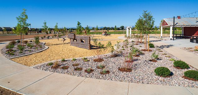 Landscape Contracting