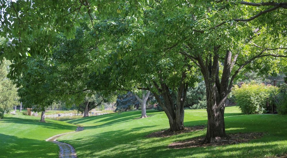 Lawn and Land Care Commercial Services