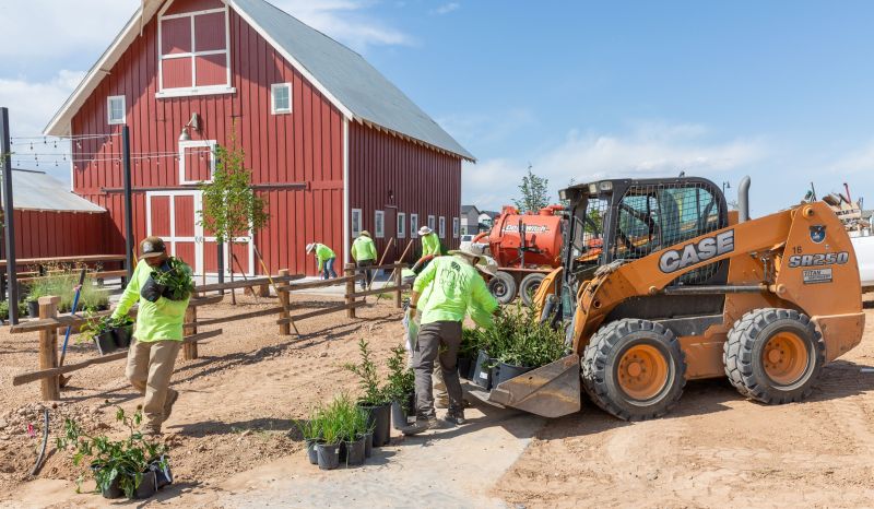 Mill Brothers crew installing landscape plants at a Denver-area commercial development