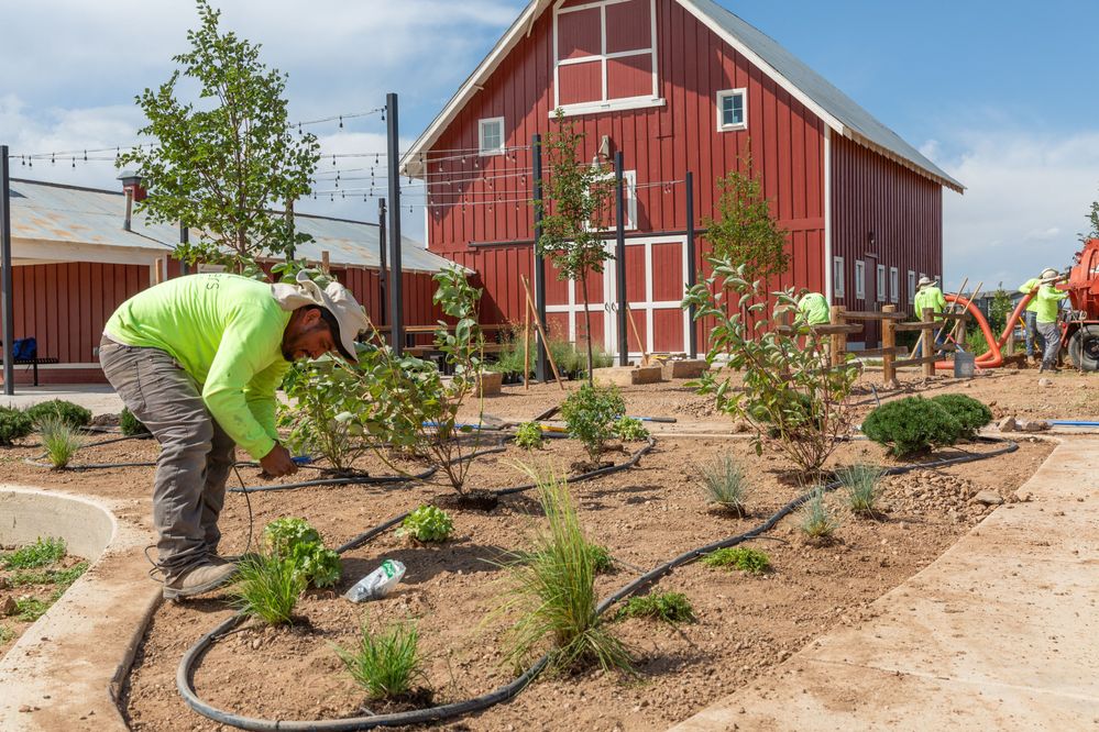Commercial Landscaping Services near Berthoud, CO