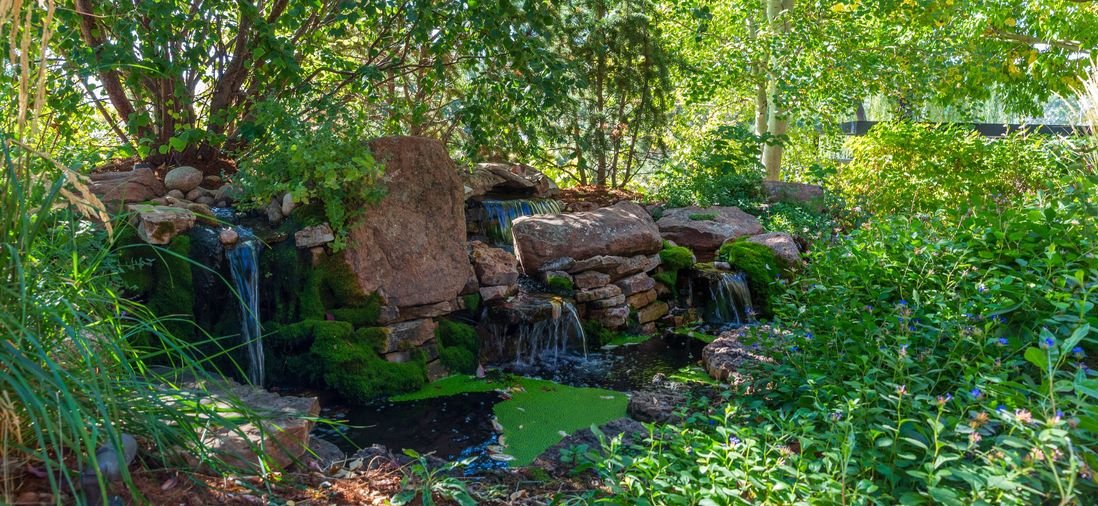 Landscape Design in Loveland Colorado