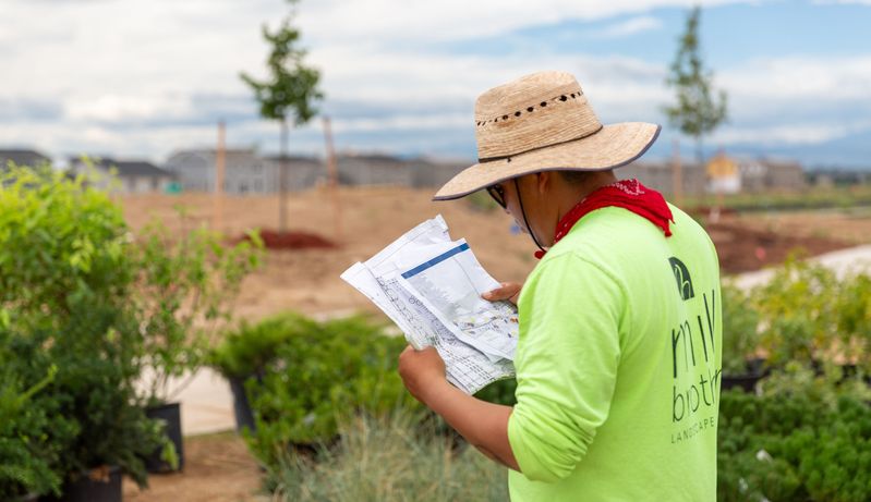 Mill Brothers crew member reviewing landscape plans at a Denver construction site