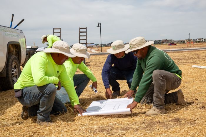 Mill Brothers commercial landscape crew reviewing construction plans in the field
