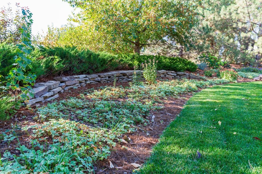 Loveland Landscape Design