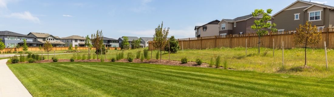 Maintained turf and native landscaping at a Colorado residential community